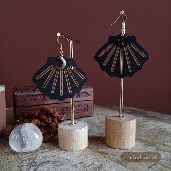 20240201_183102_0002 20240201_183102_0002