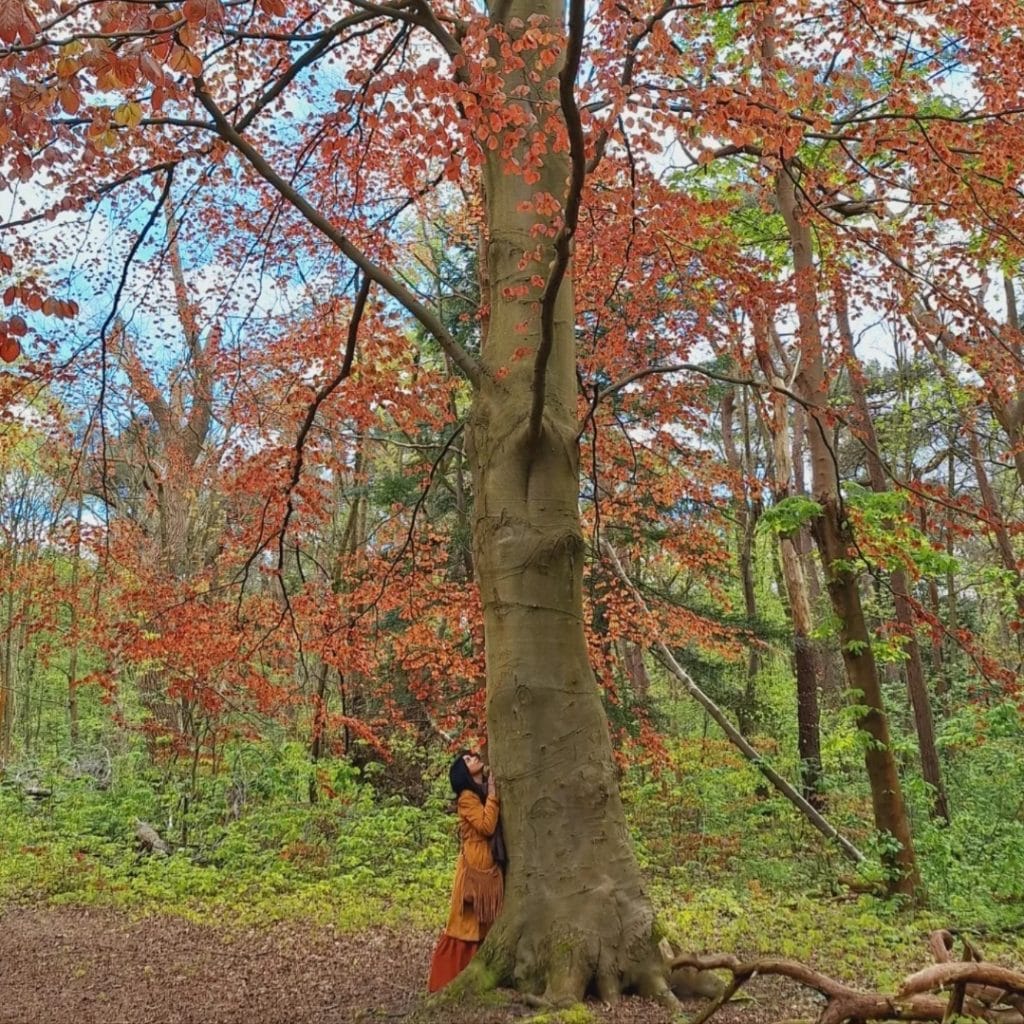 Sjamanistische Healing